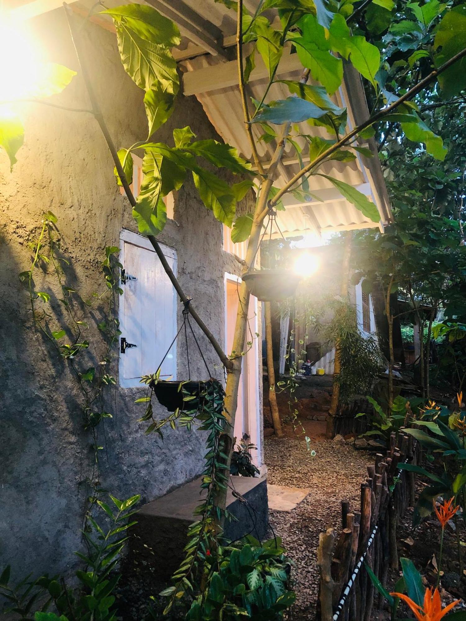 Linu Homestay Dikwella Exteriör bild
