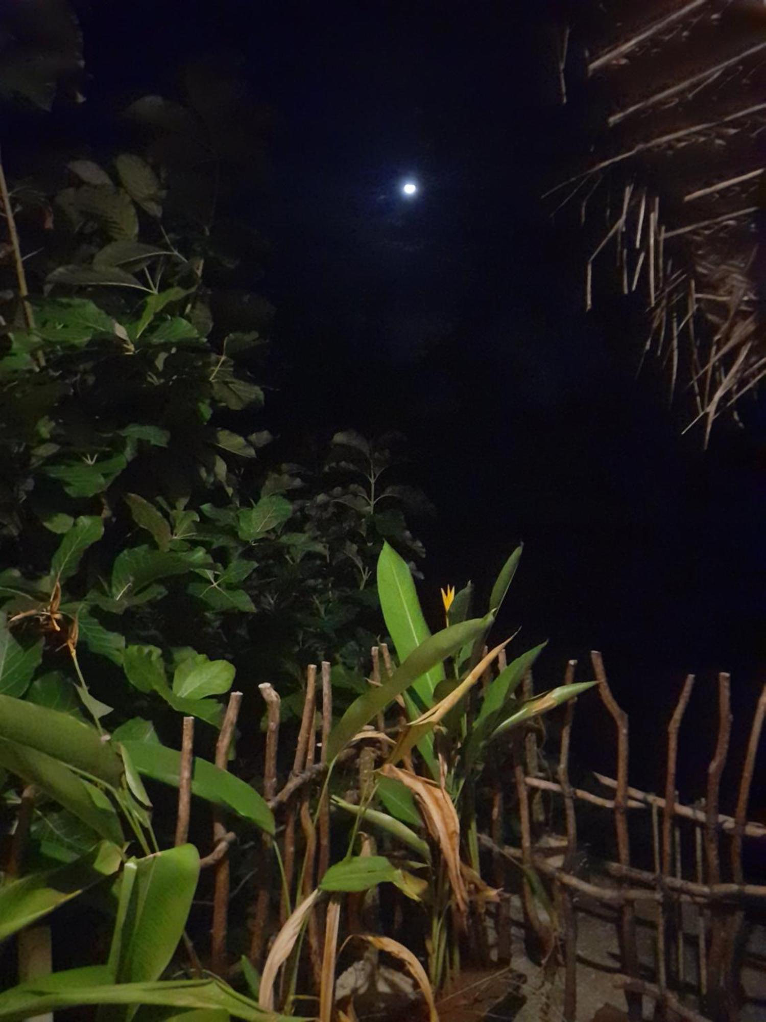 Linu Homestay Dikwella Rum bild